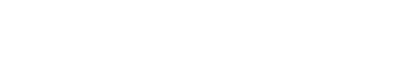 Dongfeng Logo
